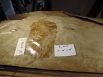 A 05 IMG_4663.JPG