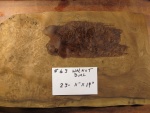 A 63 IMG_4726.JPG
