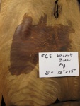 A 65 IMG_4728.JPG